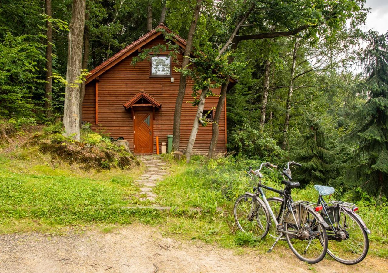 Cezar Naturyzm Bielsko-Biała Exterior foto